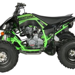PENTORA 250CC - Imagen 2